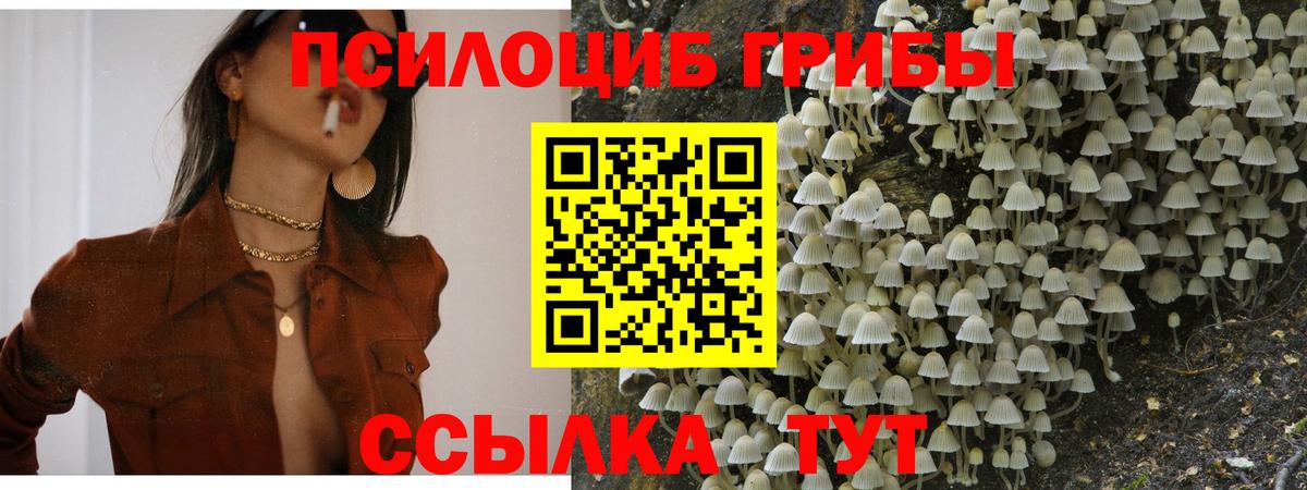 Галлюциногенные грибы прущие грибы Южноуральск